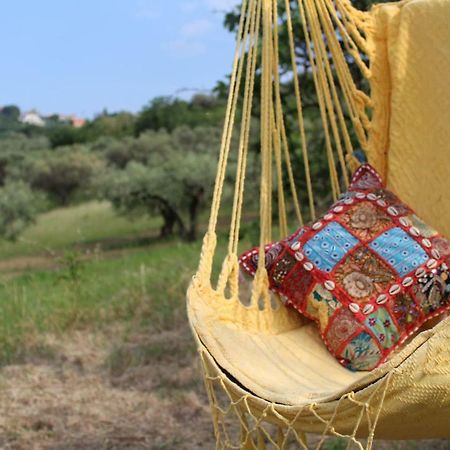 Villa Sarno Montesilvano Marina Zewnętrze zdjęcie